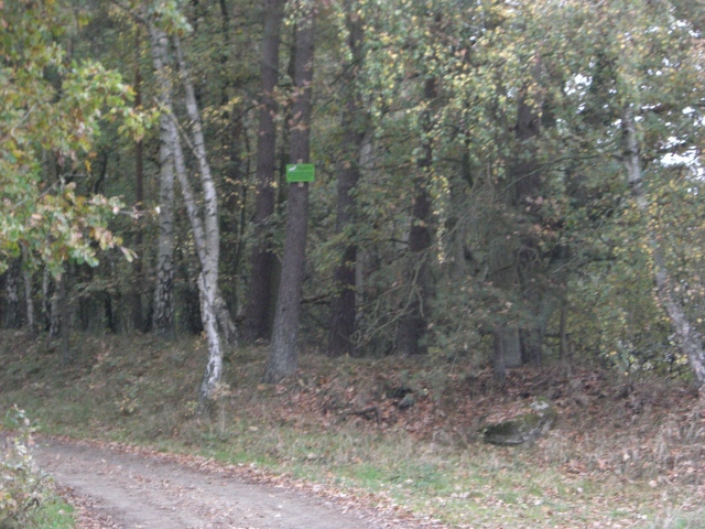 CTF Celle Strecke 041